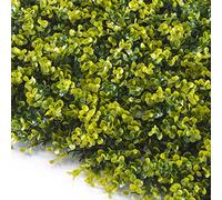 TENAX Divy Panel Buxus Siepe Artificiale Modulare 3D Bosso 100x100 cm