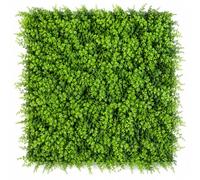 TENAX Siepe Sintetica a Pannelli per Parete Giardino Verticale, Tipo Felce, Divy 3D Panel Fern 0,50 x 1 m, componibile per Decorazione e schermatura