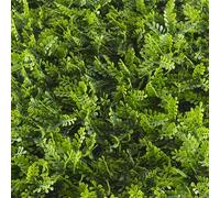 TENAX Divy Panel Helecho 100x100 cm Verde, Pannello Modulare con Foglie Artificiali 3D Tipo Felce per Pareti, Giardini Verticali e Decorazioni Indoor/Outdoor