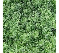 TENAX Divy Panel Lichen 100x100 cm Verde, Pannello Modulare con Foglie Artificiali 3D Tipo Muschio per Pareti, Giardini Verticali e Decorazioni Indoor/Outdoor