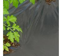 TENAX DOT Cover 1,50x20 m Nero, Film microforato antierbacce per pacciamatura, Ideale per ortaggi e Fragole (Rotolo)