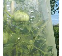 TENAX Mr.Tomato, Film Tubolare Microforato Giallo, 0,60x10 m, Specifico per la Coltivazione di Pomodori