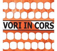 Tenax Rete da recinzione cantiere arancio con scritta lavori in corso 1,20x50 m