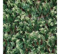 TENAX Siepe Artificiale con Foglie Traliccio Estensibile in salice, Divy 3D X-Tens Cyprus, 1x2 m, Verde/Bianco