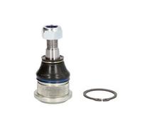 TenCAR S 039 Testina braccio oscillante