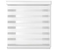 Tenda a Rullo per Interni con Cassonetto e Catenella, Tenda a Parete e Soffitto, Regolazione Luce e Privacy (Bianco001, 170x300)