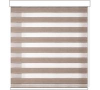 Tenda a Rullo per Interni con Cassonetto e Catenella, Tenda a Parete e Soffitto, Regolazione Luce e Privacy (Tortora001, 160x300)