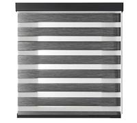 Tenda a Rullo per Interni con Cassonetto e Catenella, Tenda a Parete e Soffitto, Regolazione Luce e Privacy (Nero001, 220x300)