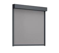 Tenda a rullo, rettangolare 90°, grigio antracite simile a RAL 7016, 600 x 600 mm, tessuto grigio scuro, tipo di motore Basic, configura individualmente