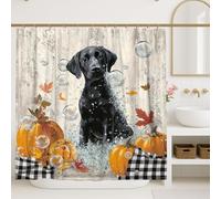 Tenda da doccia con zucca autunnale, decorazione autunnale con cane nero con bolle, stile accogliente per il bagno per Halloween del Ringraziamento, tenda in tessuto impermeabile con ganci, 183 x 213