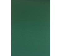 TENDA DA SOLE con ANELLI 145x250 145x300TINTA UNITA PORTA esterno IDROREPELLENTE