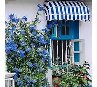 Tenda da sole retrattile per patio, 100 x 100 cm, resistente ai raggi UV e impermeabile, parasole ad arco francese fai da te, per balcone, cortile, veranda, tettoia per porta d'ingresso, protezione