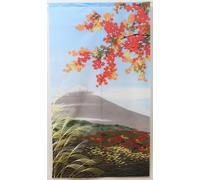 Tenda giapponese Noren Mt, Fuji Autumn Akifuji Made in JAPAN 85 x 150 cm