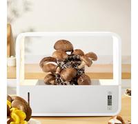 Tenda per Coltivazione di Funghi, 14,6 X 7,1 X 11,6 X 6,9 Pollici Smart Soilless Still Air Box Visualizzazione Trasparente Lucile LED Fungo Grow Box per Monitorare l'umidità e
