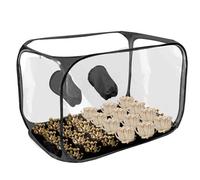 Tenda per la coltivazione di funghi, tenda pieghevole per la coltivazione delle piante, pieghevole, trasparente, ventilata, resistente alle intemperie, serra ad aria per progetti scolastici educativi
