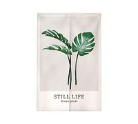 Tenda per Porta Grigio Chiaro Verde Tenda Porta Esterna Interna Microfiber Isolamento Termico Tendine per Finestre Durevole Tendine Cucina Finestra Tende Finestra e 1 Palo Telescopico 90x150cm