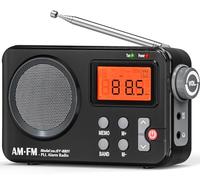 Tendak Radio Portatili FM/AM, Radiolina Portatile Piccola, Radio a Pile,Con un'eccellente qualità del suono, Schermo grande, sveglia, timer, radio a transistor alimentata via USB - noir