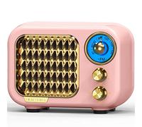 Tendak Radio Vintage, Radiolina Portatile FM, Radio Portatile Altoparlante 5.1 Bluetooth Retro, Qualità audio Hi-Fi, Batteria Ricaricabile da 1000 mAh Potenziata, Supporta TF Card/AUX/USB MP3 Player
