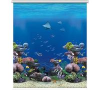 Tende A Rullo Oscuranti Premium Blids Vista sulla Spiaggia per Camera da Letto Bagno Camera dei Bambini Vedova 60 Cm 80 Cm 100 Cm 120 Cm 140 Cm di Larghezza, 80cmx100cm/31inx39.4in