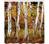 Tende Doccia Betulle Bianche Tende da Doccia Antimuffa 120x180 cm Foresta Autunnale 3D Shower Curtain Tendina per Vasca da Bagno Tessuto Impermeabile Polyester Lavabile C-3050