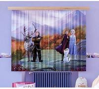 Tende Foto Disney Frozen 2 Design 180x160 Cm Viola Paio Di Pronte