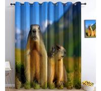 Tende Oscuranti per Camera da Letto 140L x 245A cm 2 Pannelli, Tende con Stampa di Montagne Prato Animali Topi, Tenda Fotografia Naturalistica per Decorare la Camera dei Bambini e il Soggiorno