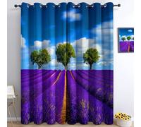 Tende Oscuranti Termiche Isolanti Camera da Letto Con Occhielli Campi Di Lavanda Da Sogno Blu Viola, Oscuranti Termiche Isolanti Per Soggiorno bambini, 117 x 229 cm