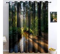 Tende Termiche Isolante, Oscuranti Tenda Foresta Ruscello Luce Mattino Paesaggio Luce Ombra, Blocca raggi UV, Antirumore, Lavabile in lavatrice, 150L x 166A cm per Interni Porte Balcone Soggiorno