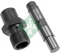 Tendicatena distribuzione 551 0048 10 INA per BMW 3 Coupé Z3 Roadster Z4 Coupé