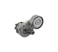 Tendicinghia Accessorio Per Opel Fiat Alfa Romeo Chevrolet 025191534