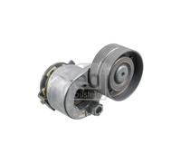Tendicinghia Accessorio per Renault Clio II III 8200072120 8200472180
