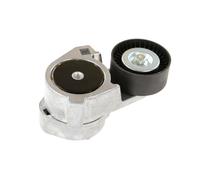 Tendicinghia AUGER 67788