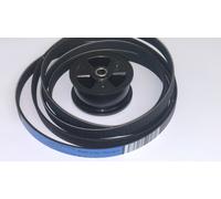 TENDICINGHIA + CINGHIA 1971H7 REX ELECTROLUX ZANUSSI 1250125034 + 1366033007