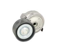 BTA B05-01-050 Tenditore cinghia servizi