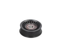 BTA Tendicinghia E2G0029BTA – Tenditore cinghia a V per Ford Fiesta IV 1.8 (2000-)