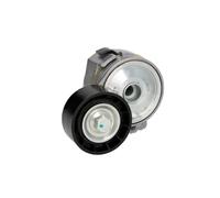 Tendicinghia, cinghia a V BTA E3C0014BTA