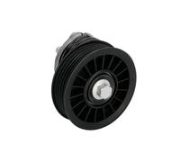 BTA E3W0020BTA Tenditore cinghia servizi