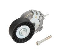 Tendicinghia, cinghia a V DAYCO APV1002