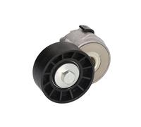 DAYCO APV1075 TENDITORE AUTOM.PER ALTER.FIAT DUCATO