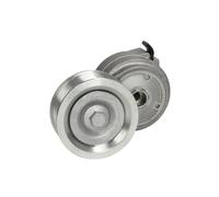 DAYCO APV1096 Tenditore cinghia servizi