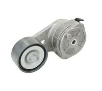 DAYCO APV1097 Tenditore cinghia servizi