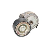 Tendicinghia, cinghia a V DAYCO APV1134