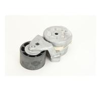 DAYCO APV2454 Tenditore cinghia servizi