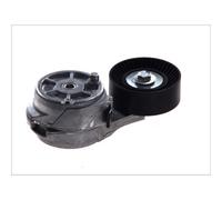 Tendicinghia, cinghia a V DAYCO APV2486