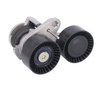 Tendicinghia, cinghia a V DAYCO APV2674