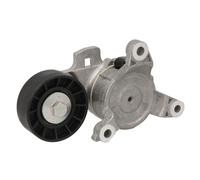 Dayco Tendicinghia APV2712 Cinghia Poly‑V multirighe per Citroën, Peugeot