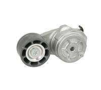 Tendicinghia, cinghia a V DAYCO APV3087