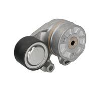 Tendicinghia, cinghia a V DAYCO APV3142