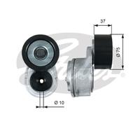 Tendicinghia, cinghia a V GATES T38675