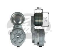 Tendicinghia, cinghia a V GATES T38700